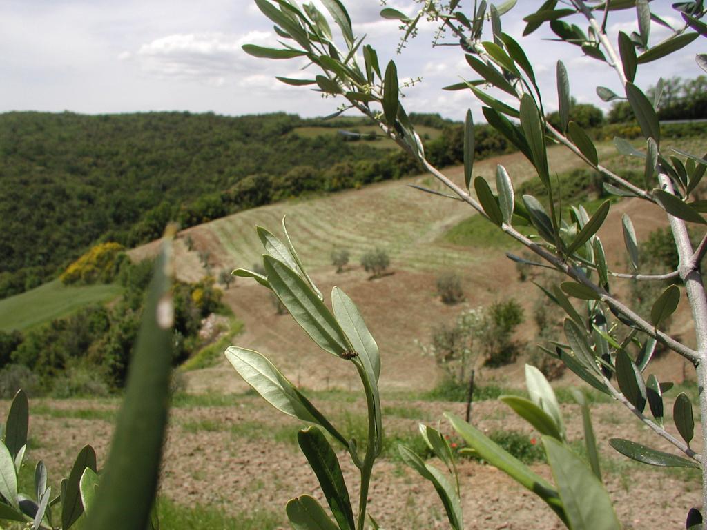 Casa Guaitoli Bagni Di Petriolo Exterior foto