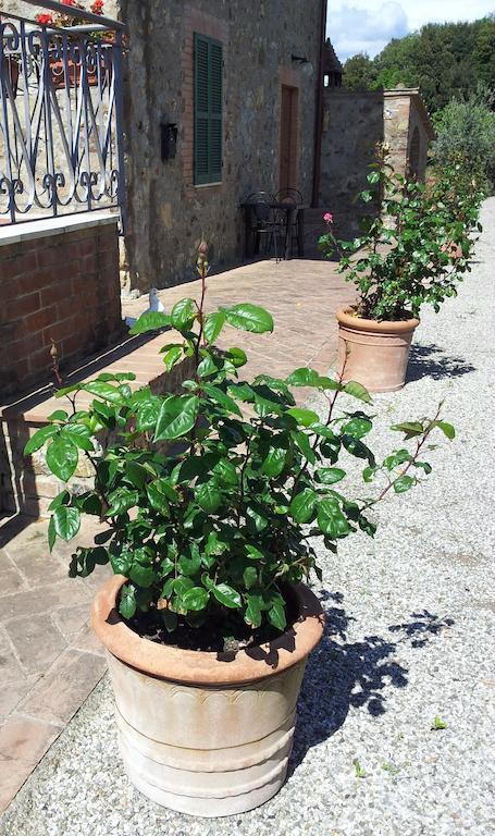 Casa Guaitoli Bagni Di Petriolo Exterior foto
